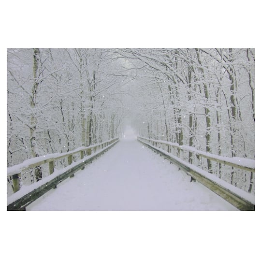 Winter Wooden Bridge Fiber Optic Lighted Canvas Wall Art